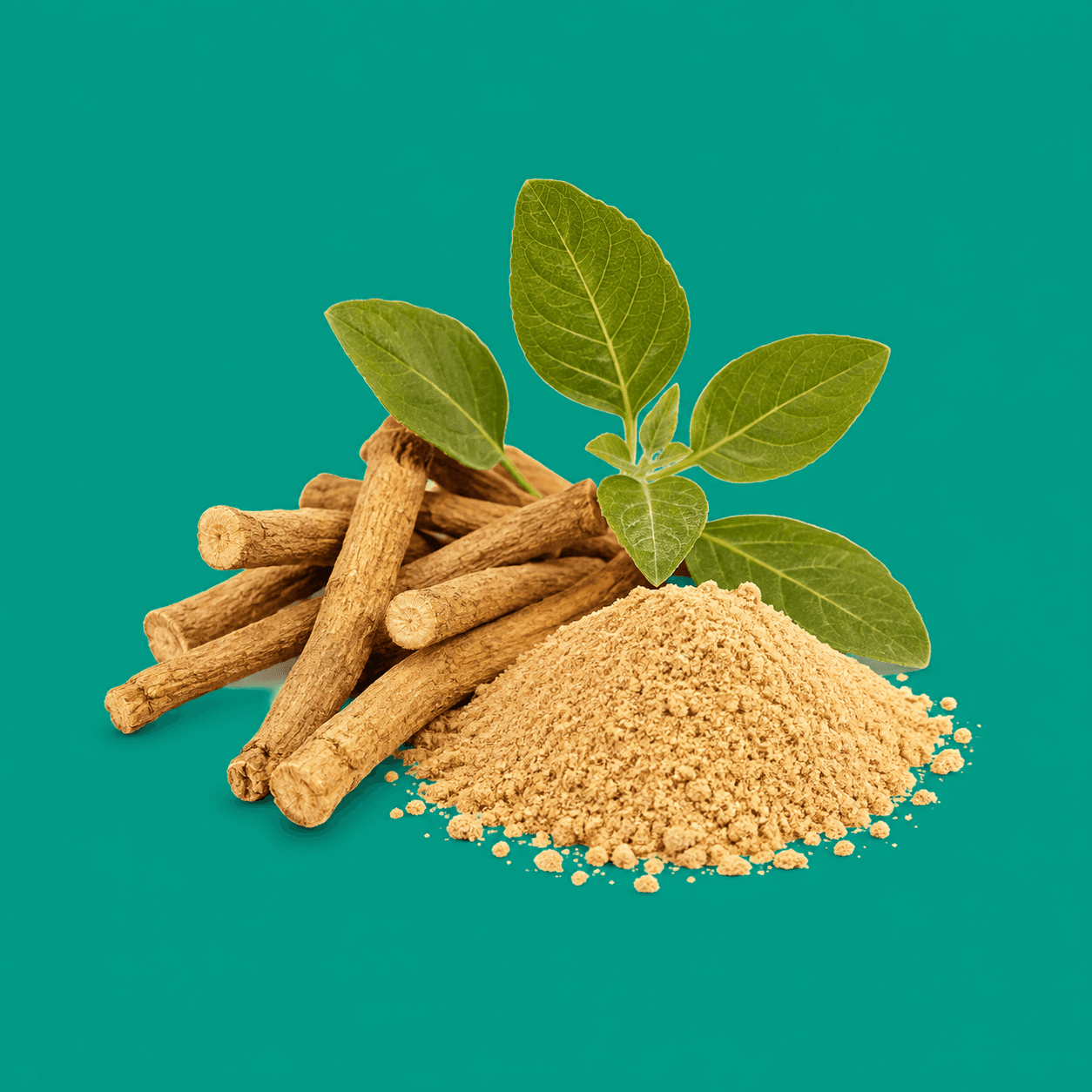 Ashwagandha root, powder, and leaves