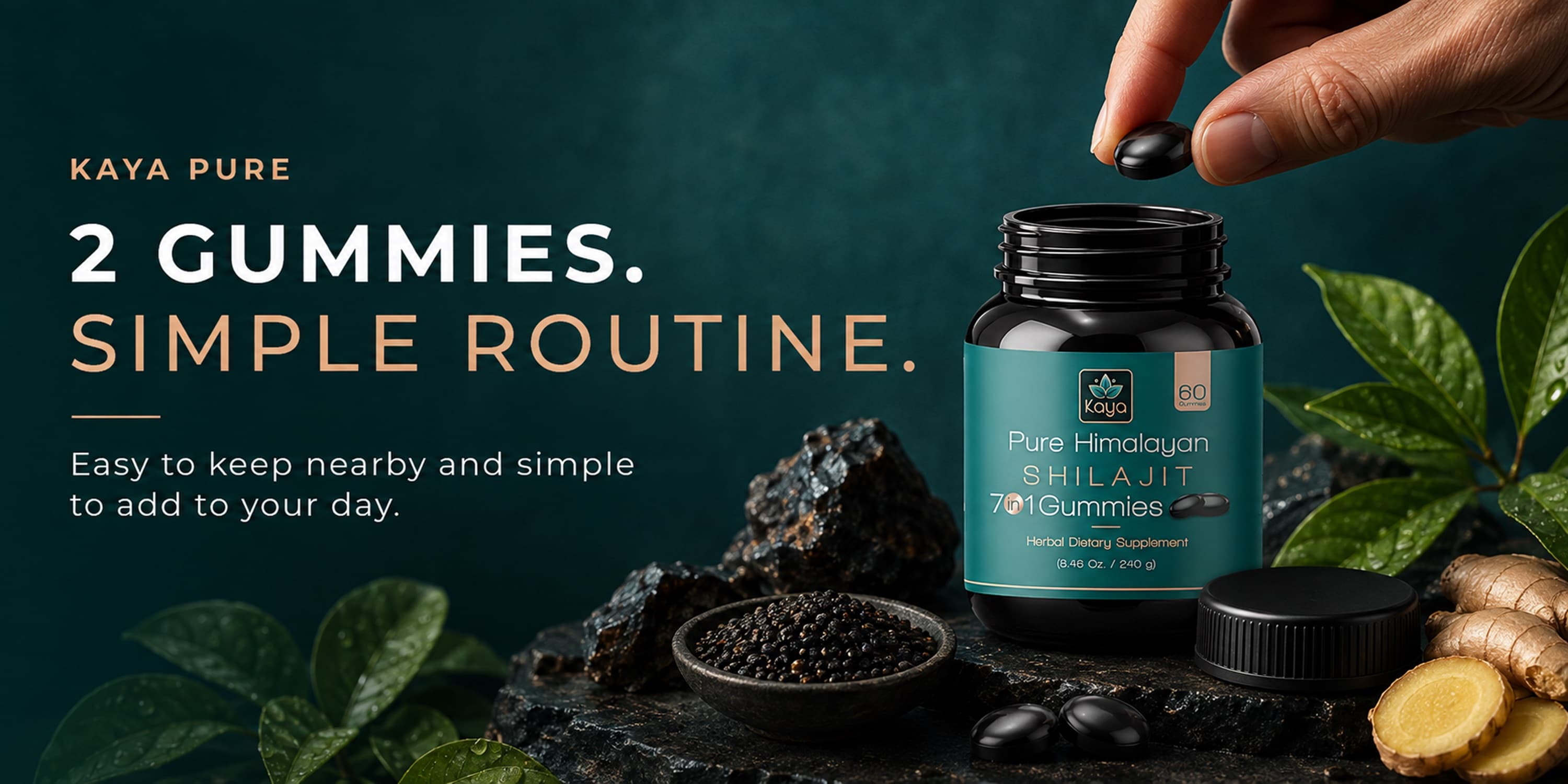 Kaya Pure two gummies simple routine banner with Shilajit jar and botanicals